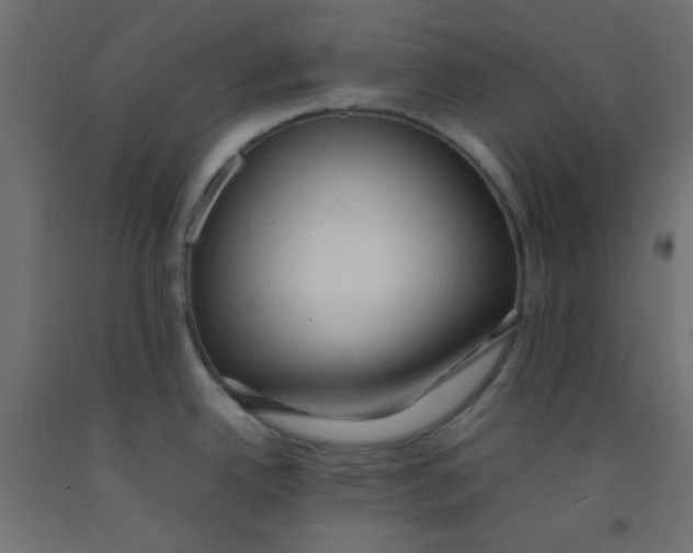 X0000092071342200710101010