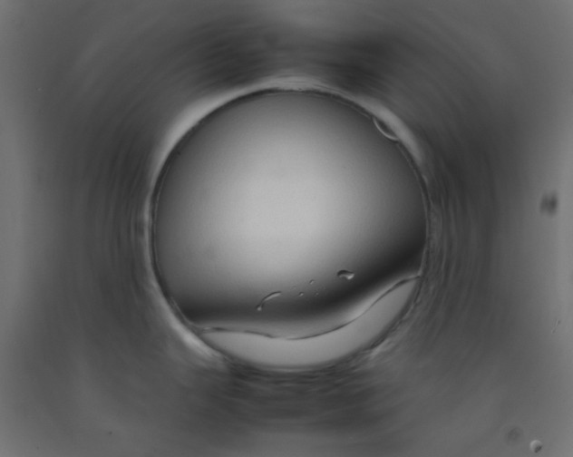 X0000092071343200710101010