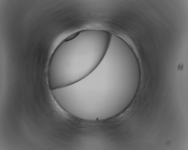 X0000092071344200710101010
