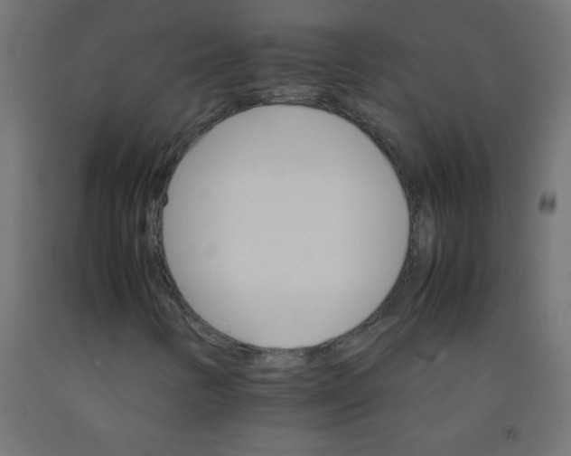 X0000092071346200710101010