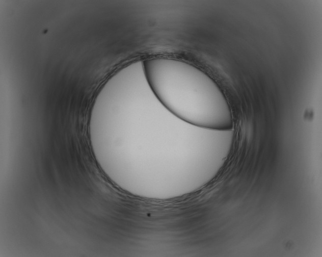 X0000092071348200710101010