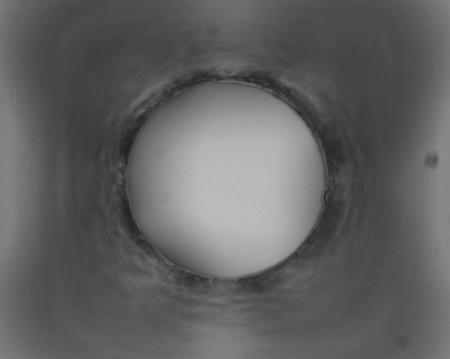 X0000092071349200710101010