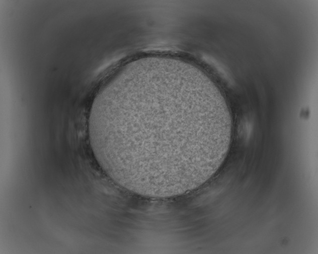 X0000092071350200710101010