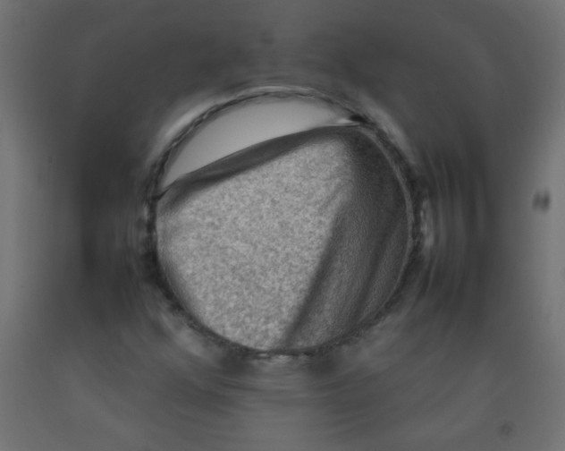 X0000092071352200710101010
