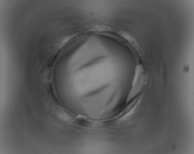 X0000092071353200710101010