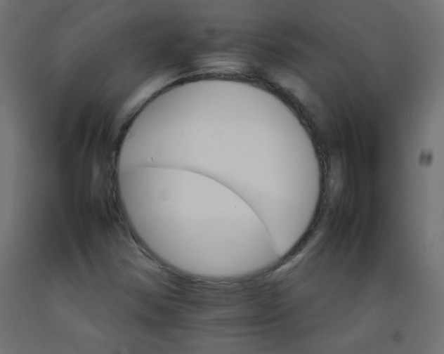 X0000092071354200710101010