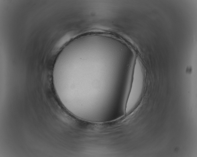 X0000092071355200710101009