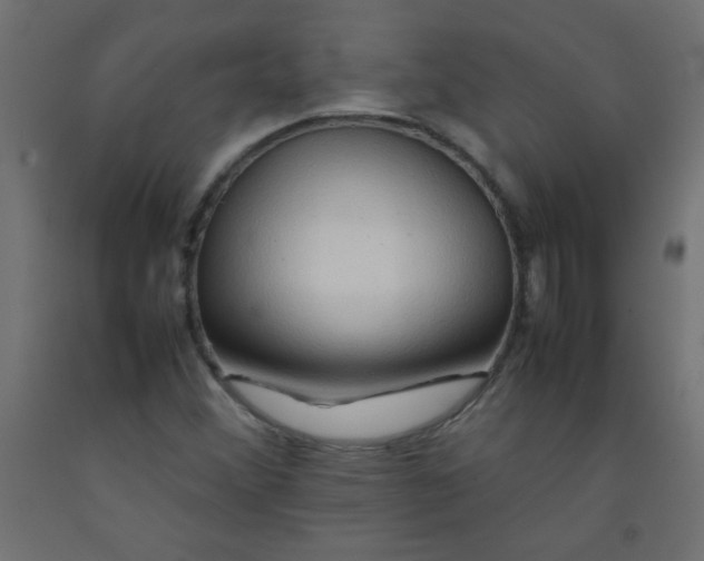 X0000092071356200710101009