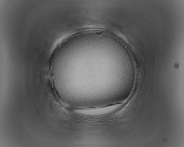 X0000092071357200710101009