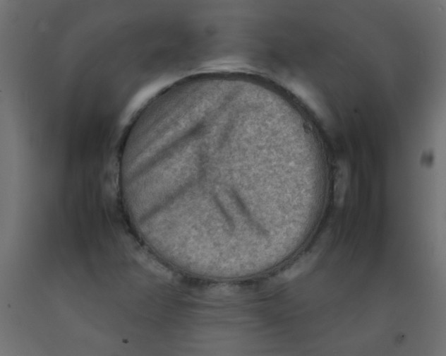 X0000092071358200710101009