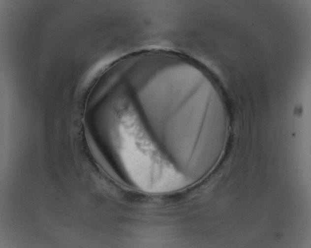 X0000092071359200710101009