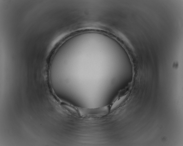 X0000092071360200710101009