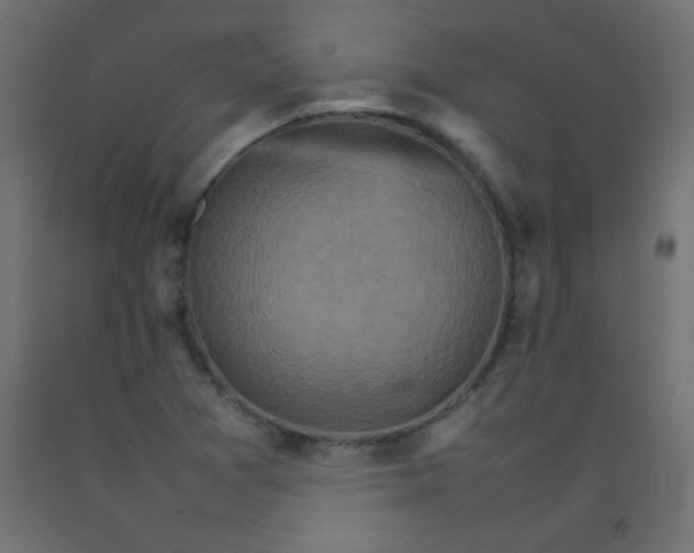 X0000092071361200710101009