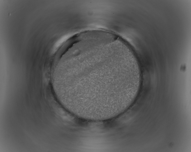X0000092071363200710101009