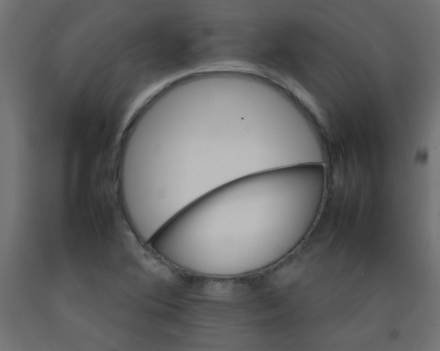 X0000092071364200710101009