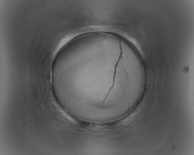 X0000092071365200710101009