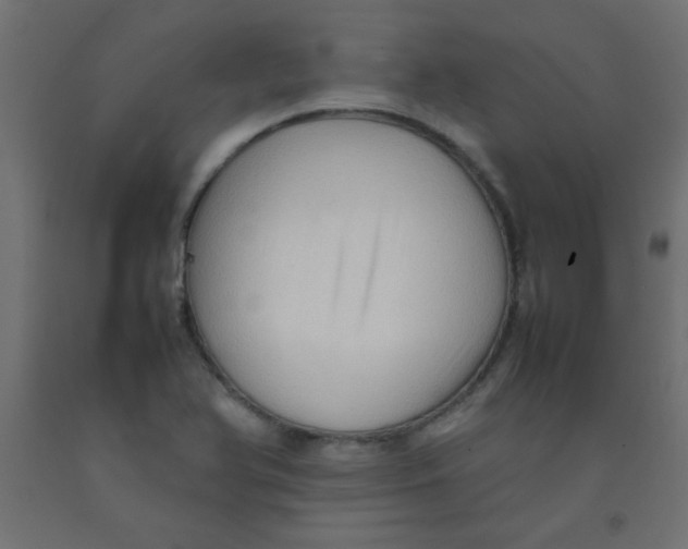X0000092071366200710101009