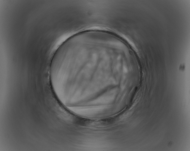 X0000092071367200710101009