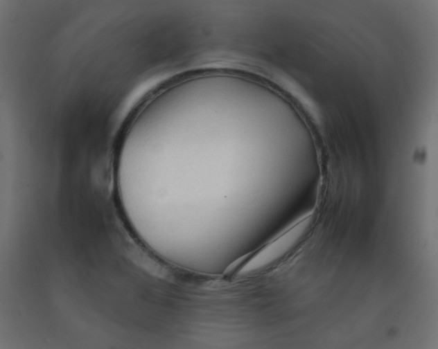 X0000092071368200710101009