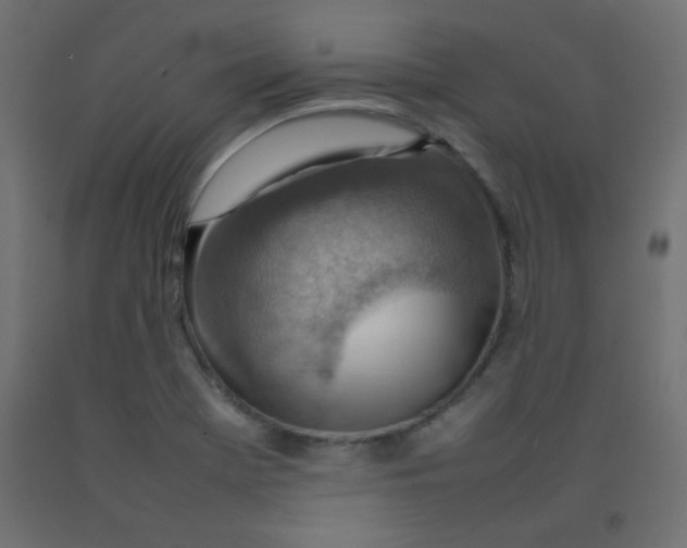 X0000092071369200710101009
