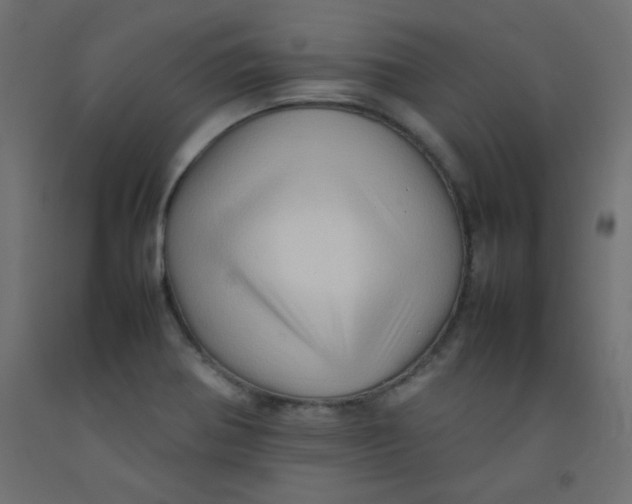 X0000092071370200710101009