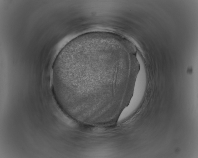 X0000092071371200710101009