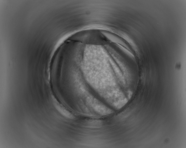 X0000092071372200710101009