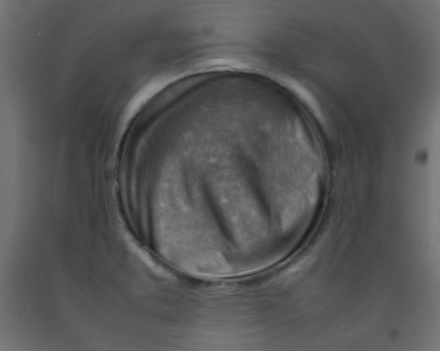 X0000092071373200710101009