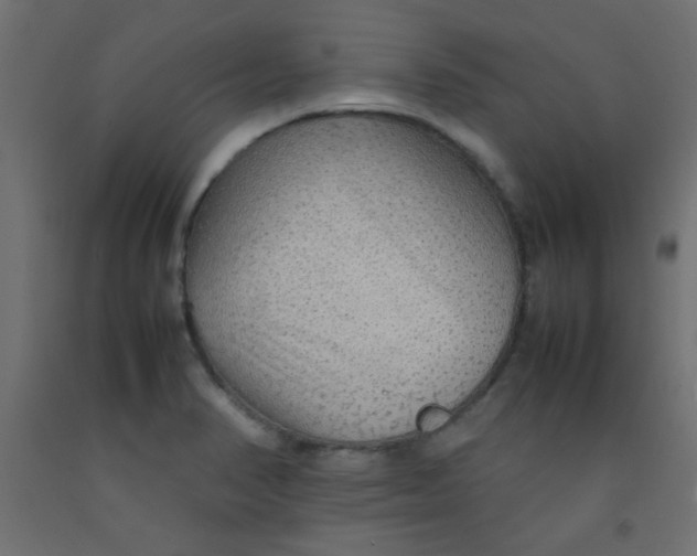 X0000092071374200710101009