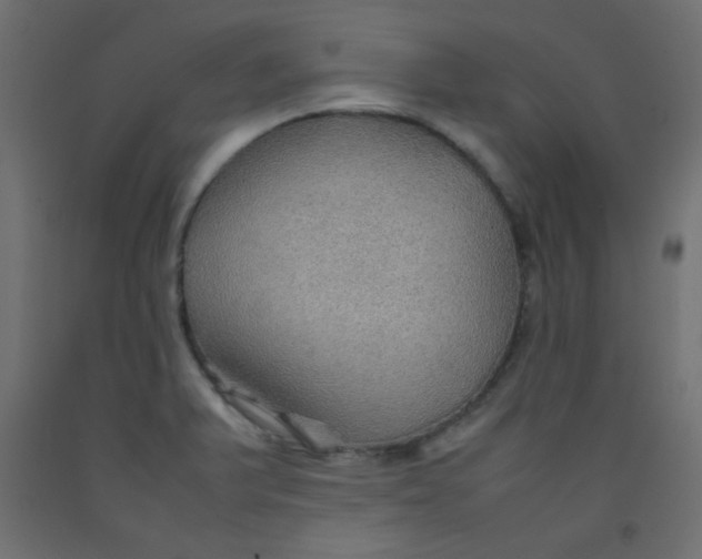 X0000092071375200710101009