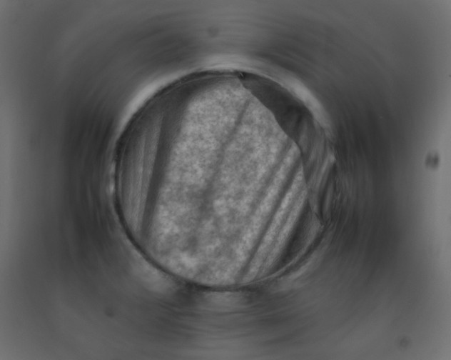 X0000092071376200710101009