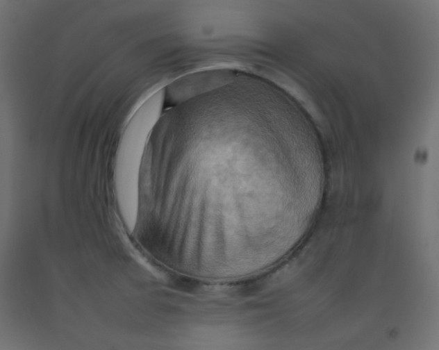 X0000092071377200710101009