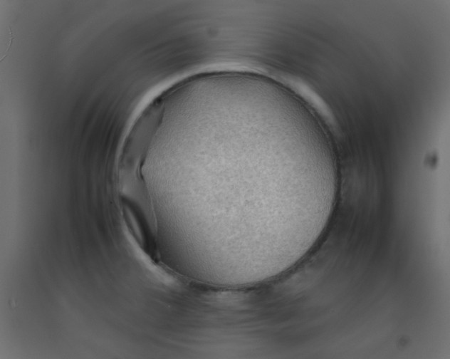 X0000092071380200710101009