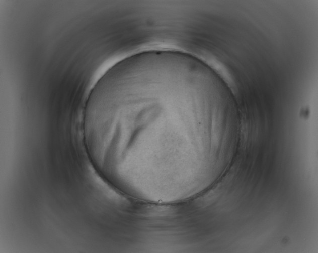 X0000092071382200710101009