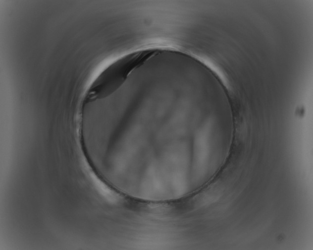 X0000092071383200710101009