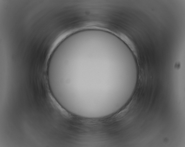 X0000092071384200710101009