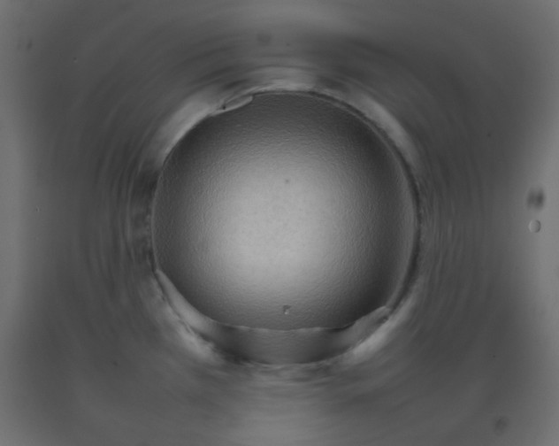 X0000092071385200710101009