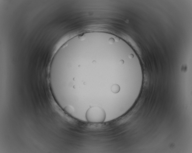X0000092071386200710101009