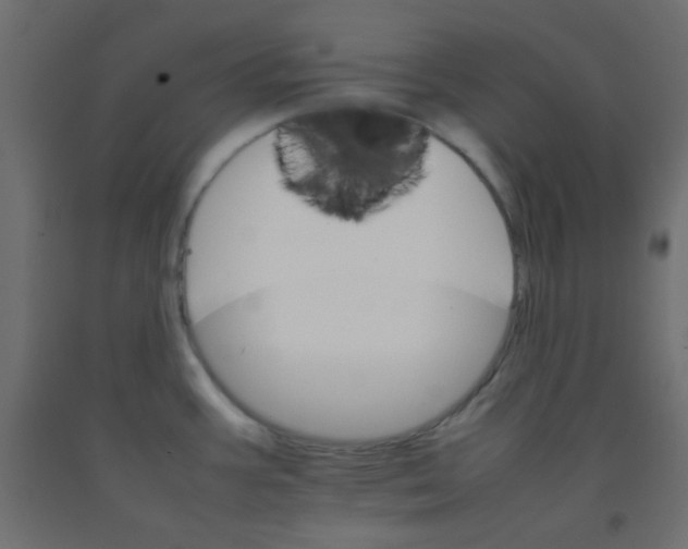 X0000092071387200710101009