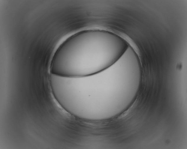 X0000092071388200710101009
