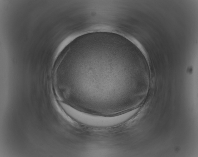 X0000092071389200710101009