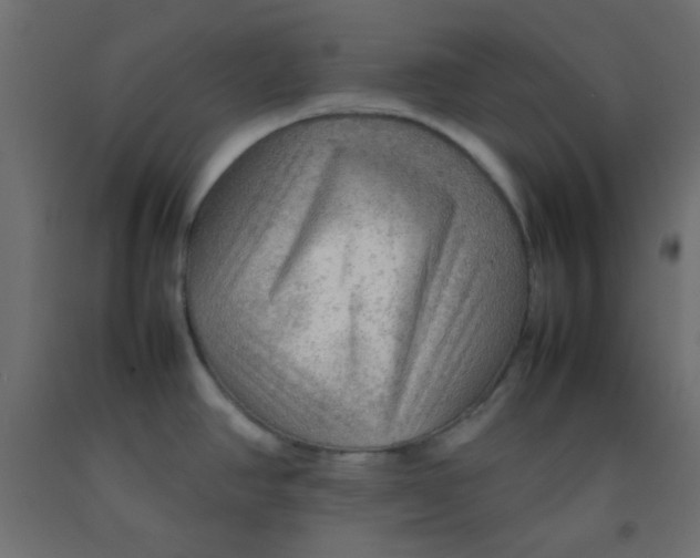X0000092071390200710101009