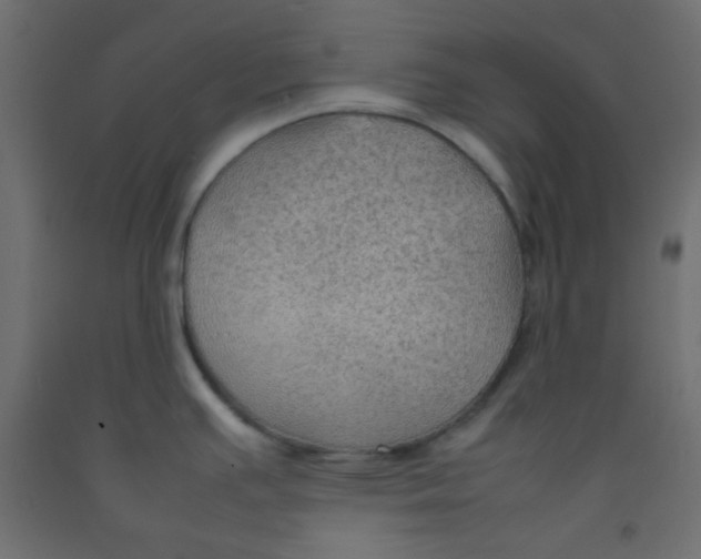 X0000092071391200710101009