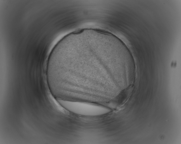 X0000092071392200710101009