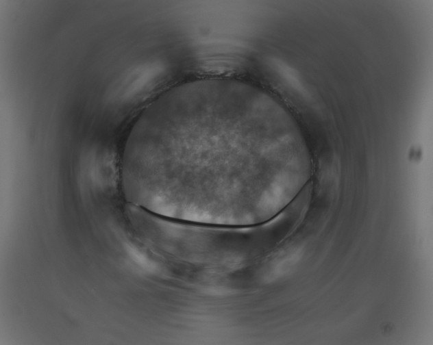 X0000092071394200710101008