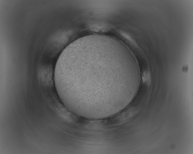 X0000092071396200710101008
