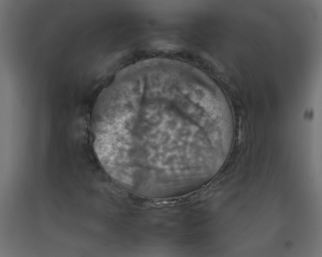 X0000092071397200710101008