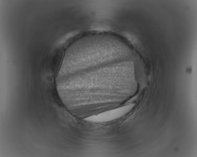 X0000092071398200710101009
