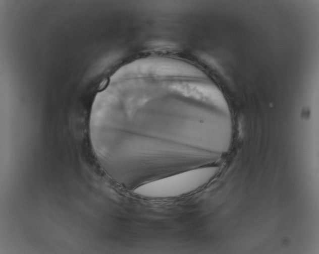 X0000092071399200710101009