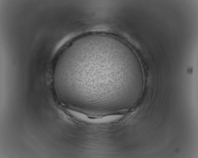 X0000092071400200710101009